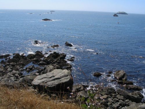A rocky shoreline with scattered boulders and calm blue ocean waters under a clear sky.