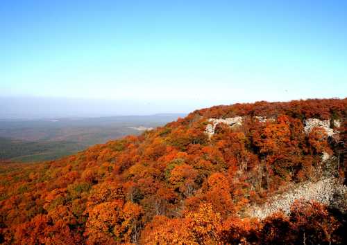 Vibrant autumn foliage covers rolling hills under a clear blue sky, showcasing a scenic landscape.