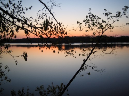 A serene lake at sunset, with silhouetted branches framing the calm water and colorful sky.