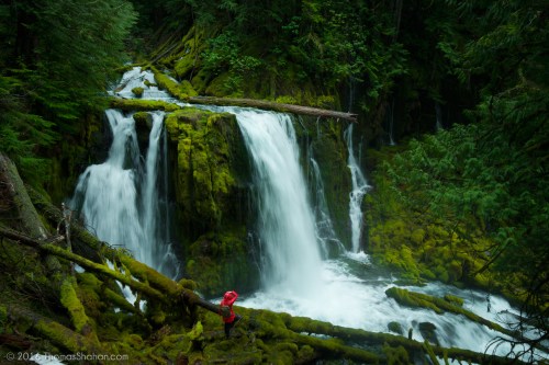 A serene waterfall cascades over moss-covered rocks in a lush green forest, with a person in a red jacket nearby.