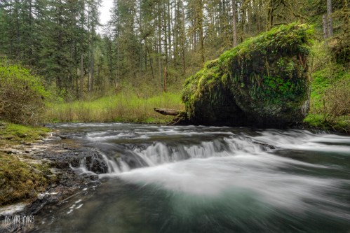 A serene river flows through a lush green forest, with moss-covered rocks and gentle waterfalls.