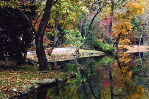 A serene pond surrounded by trees displaying vibrant autumn colors, reflecting the scenery on the water's surface.