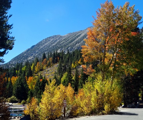 A scenic view of a mountain with colorful autumn foliage and clear blue skies.
