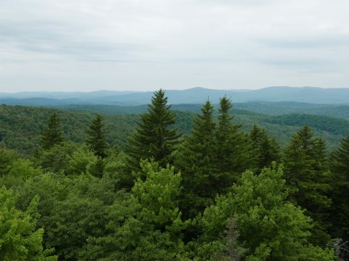 Lush green trees in the foreground with rolling mountains and a cloudy sky in the background.