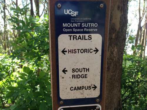 Signpost at Mount Sutro Open Space Reserve indicating trails: Historic, South Ridge, and Campus. Surrounded by greenery.