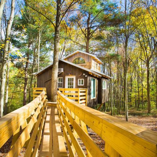 A wooden treehouse with a deck, surrounded by colorful autumn trees and bright blue sky.