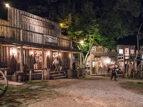 A rustic western town at night, featuring wooden buildings labeled "Dogwood Saloon" and "Bank," with a gravel path.