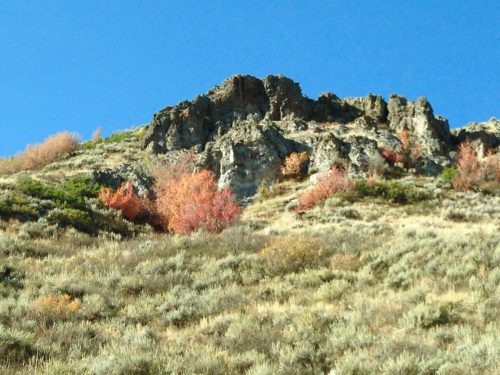A rocky hillside with patches of colorful autumn foliage against a clear blue sky.