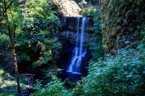 A serene waterfall cascades into a lush green forest, surrounded by trees and mossy rocks.