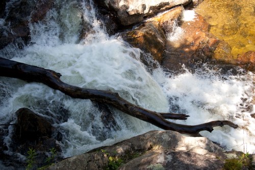 A rushing waterfall cascades over rocks, with a fallen log resting across the water's surface.