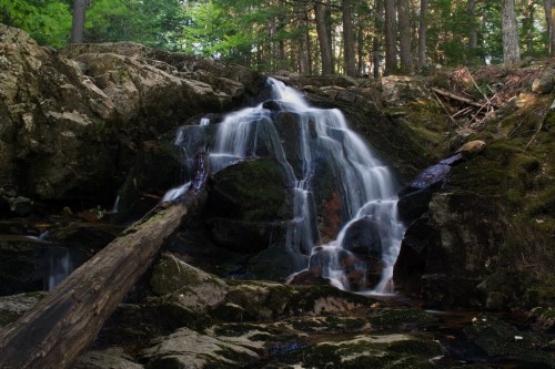 A serene waterfall cascades over rocks, surrounded by lush green trees and mossy terrain.