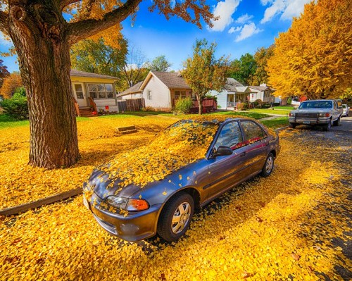 A car covered in yellow leaves parked on a street lined with trees in vibrant autumn colors.