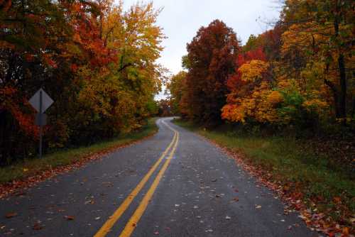 A winding road surrounded by vibrant autumn trees in shades of red, orange, and yellow.