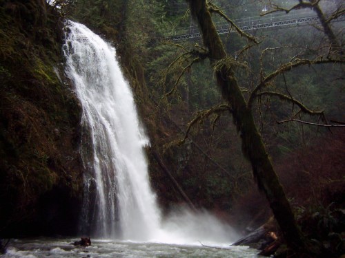 A cascading waterfall surrounded by lush greenery and a misty atmosphere, with a bridge visible in the background.