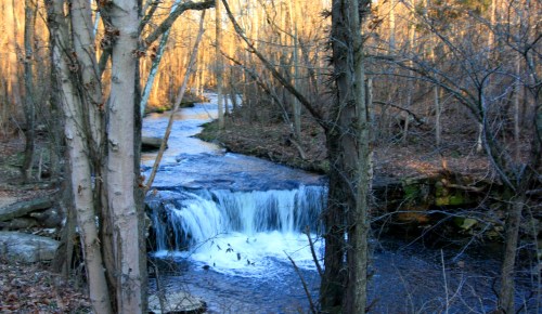 A serene waterfall flows through a wooded area, surrounded by trees and bathed in warm, golden light.
