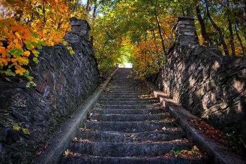 A stone staircase leads upward through a vibrant autumn forest, framed by colorful leaves.
