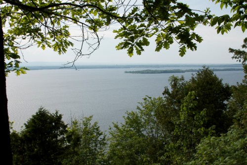 A serene view of a lake surrounded by lush green trees and distant islands under a clear sky.