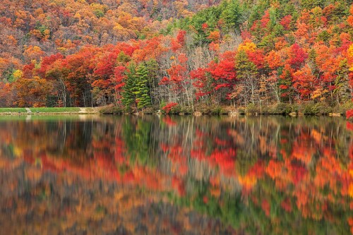 Vibrant autumn foliage reflects in a calm lake, showcasing shades of red, orange, and yellow against a serene backdrop.