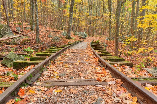 A winding railway track through a colorful autumn forest, surrounded by fallen leaves and trees with vibrant foliage.