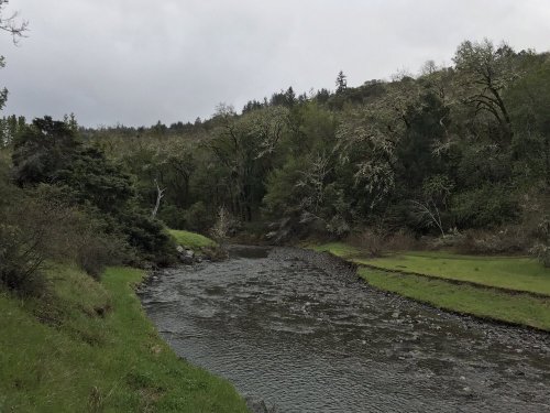 A serene river flows through a lush, green landscape under a cloudy sky, surrounded by trees and hills.