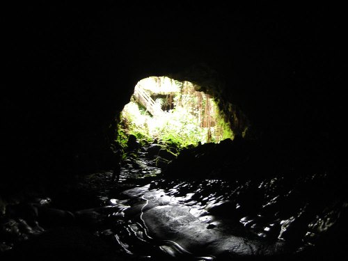 View from inside a dark cave, with light streaming in from the entrance and lush greenery visible outside.