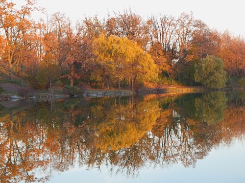 Autumn trees with vibrant orange and yellow leaves reflected in a calm lake at sunset.