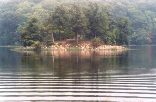A serene island with trees surrounded by calm water, reflecting ripples and a misty forest backdrop.