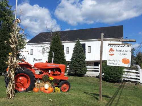 A vintage orange tractor in front of a barn, with pumpkins and a sign for a pumpkin patch and maze.