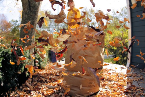 A person in a yellow shirt stands near a large bag as colorful autumn leaves swirl around them.