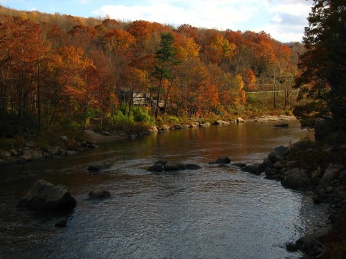 A serene river flows through a landscape of autumn trees with vibrant orange and yellow leaves.