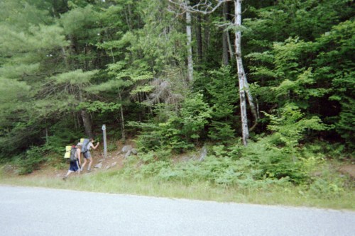 Two hikers with backpacks walking along a forested trail beside a road, surrounded by lush green trees.