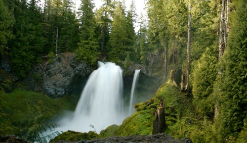 A serene waterfall cascades down rocky cliffs, surrounded by lush green trees and mossy terrain.