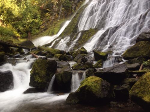 A serene waterfall cascades over moss-covered rocks, surrounded by lush greenery in a tranquil natural setting.
