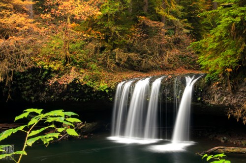 A serene waterfall cascades over rocks, surrounded by vibrant autumn foliage and lush green trees.