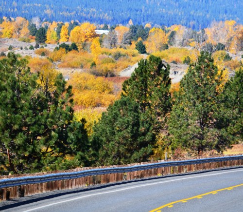 A winding road surrounded by vibrant autumn foliage and distant mountains under a clear blue sky.
