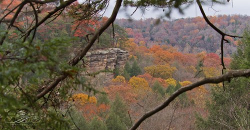 A scenic view of colorful autumn foliage with rocky cliffs and trees in the foreground.