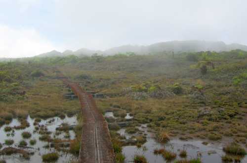 A misty landscape with a wooden path leading through wet, grassy terrain and distant hills shrouded in fog.