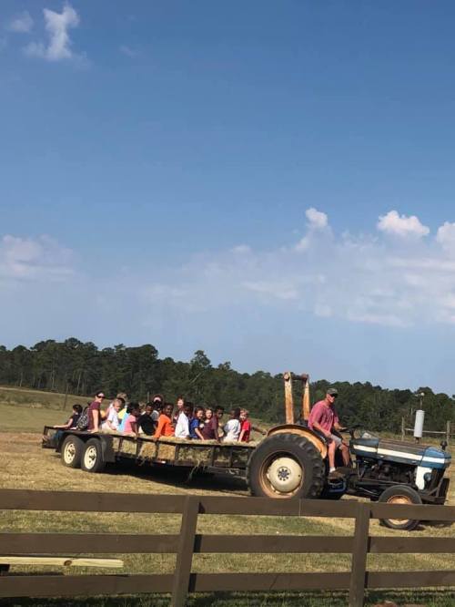 A group of children sits on a trailer attached to a tractor, enjoying a ride through a sunny field.