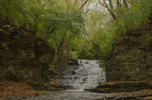 A serene waterfall cascades down rocky cliffs, surrounded by lush green trees and autumn foliage.