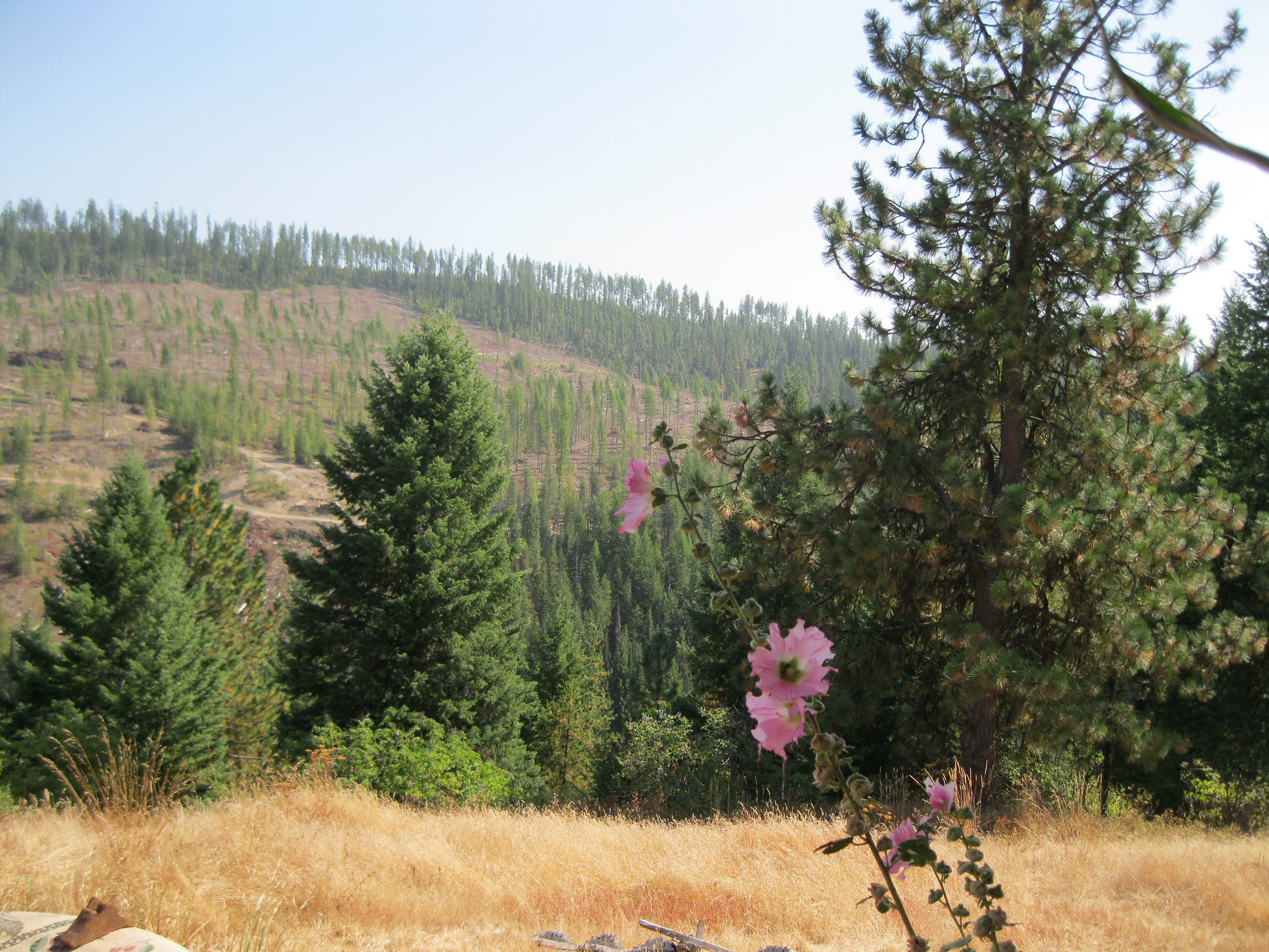 The Only Place In The Country You Can Find This Incredibly Rare Gem Is