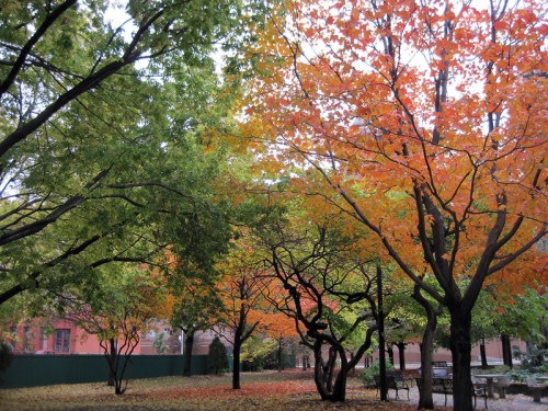 A serene park scene with vibrant autumn trees displaying orange and green leaves, surrounded by a peaceful atmosphere.