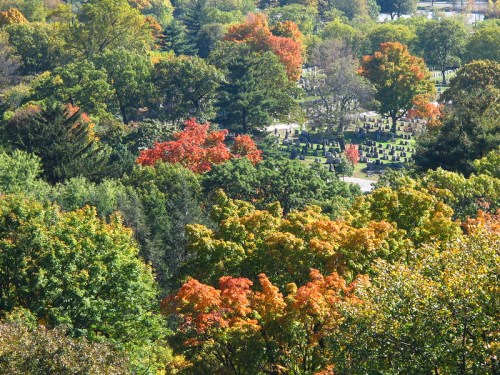 Aerial view of a cemetery surrounded by vibrant autumn trees in shades of green, orange, and red.