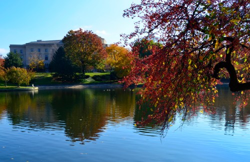 A serene lake reflects colorful autumn trees and a building under a clear blue sky.