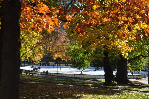 A vibrant autumn scene with colorful leaves framing an ice skating rink in a park.