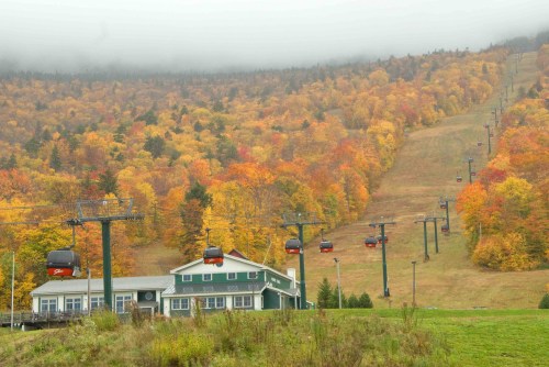 A ski resort with a building in the foreground and colorful autumn trees on the hillside, shrouded in mist.
