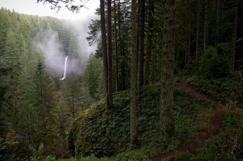 A winding trail through a lush forest leads to a distant waterfall shrouded in mist.