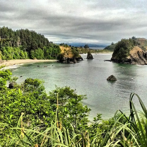 A serene coastal landscape featuring rocky outcrops, lush greenery, and calm waters under a cloudy sky.