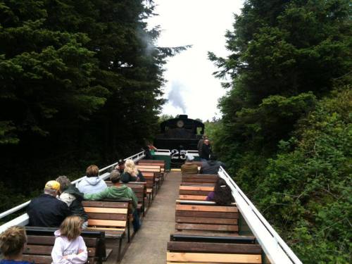 A vintage steam train approaches on a narrow track, with passengers seated on a wooden platform surrounded by trees.