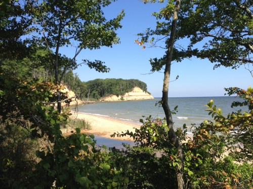 A serene beach scene framed by trees, with a sandy shore and a distant cliff under a clear blue sky.