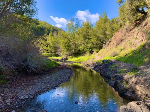 A serene landscape featuring a narrow stream surrounded by lush greenery and rocky banks under a clear blue sky.